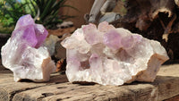 Natural Jacaranda Amethyst Clusters x 2 From Zambia - Toprock Gemstones and Minerals 