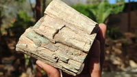 Polished Petrified Wood Branch Pieces x 2 From Gokwe, Zimbabwe - Toprock Gemstones and Minerals 