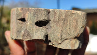 Polished Petrified Wood Branch Pieces x 2 From Gokwe, Zimbabwe - Toprock Gemstones and Minerals 