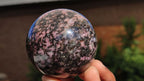 Polished Pink & Black Rhodonite Spheres x 3 From Madagascar - Toprock Gemstones and Minerals 