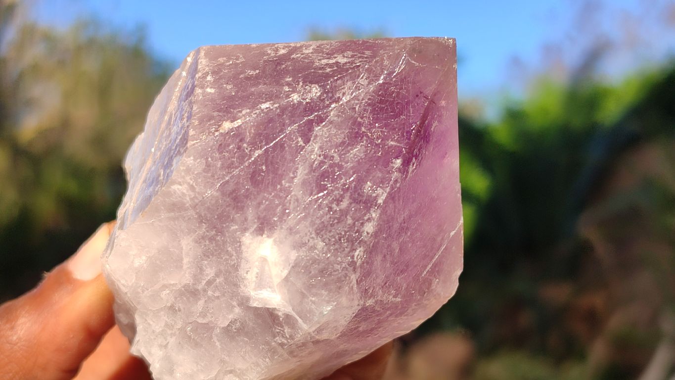 Natural Single Jacaranda Amethyst Crystals x 12 From Mumbwe, Zambia - Toprock Gemstones and Minerals 