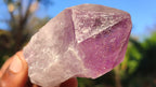 Natural Single Jacaranda Amethyst Crystals x 12 From Mumbwe, Zambia - Toprock Gemstones and Minerals 