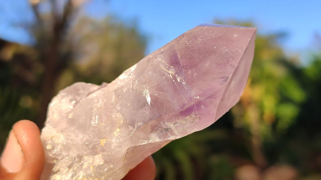 Natural Single Jacaranda Amethyst Crystals x 12 From Mumbwe, Zambia - Toprock Gemstones and Minerals 