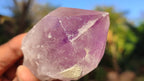 Natural Single Jacaranda Amethyst Crystals x 12 From Mumbwe, Zambia - Toprock Gemstones and Minerals 