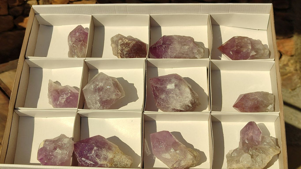 Natural Single Jacaranda Amethyst Crystals x 12 From Mumbwe, Zambia - Toprock Gemstones and Minerals 