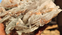 Natural Extra Large Bladed Barite Specimen  x 1 From Congo - Toprock Gemstones and Minerals 