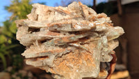 Natural Extra Large Bladed Barite Specimen  x 1 From Congo - Toprock Gemstones and Minerals 