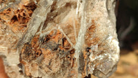 Natural Extra Large Bladed Barite Specimen  x 1 From Congo - Toprock Gemstones and Minerals 