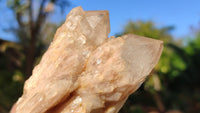 Natural Cascading White Phantom Smokey Quartz Clusters x 6 From Luena, Congo - Toprock Gemstones and Minerals 