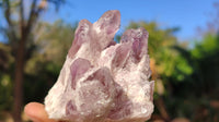 Natural Sugar Amethyst Clusters  x 6 From Solwezi, Zambia - Toprock Gemstones and Minerals 