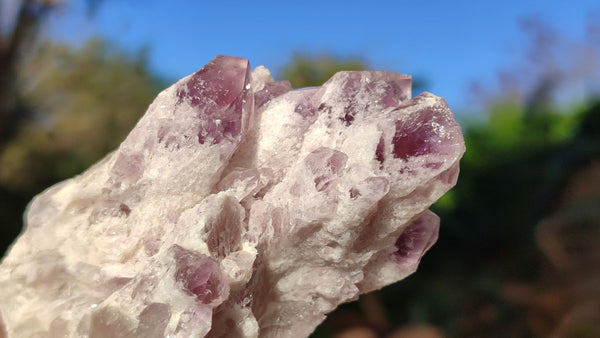 Natural Sugar Amethyst Clusters  x 6 From Solwezi, Zambia - Toprock Gemstones and Minerals 