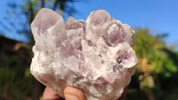 Natural Sugar Amethyst Clusters  x 6 From Solwezi, Zambia - Toprock Gemstones and Minerals 