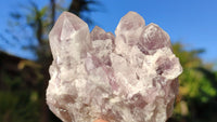 Natural Sugar Amethyst Clusters  x 6 From Solwezi, Zambia - Toprock Gemstones and Minerals 