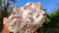Natural Sugar Amethyst Clusters  x 6 From Solwezi, Zambia - Toprock Gemstones and Minerals 