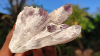 Natural Sugar Amethyst Clusters  x 6 From Solwezi, Zambia - Toprock Gemstones and Minerals 