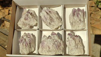 Natural Sugar Amethyst Clusters  x 6 From Solwezi, Zambia - Toprock Gemstones and Minerals 