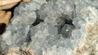 Natural Extra Large Blue Celestite Geode Specimen  x 1 From Madagascar - Toprock Gemstones and Minerals 