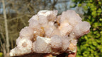 Natural Spirit Amethyst / Ametrine Quartz Clusters x 2 From Boekenhouthoek, South Africa - Toprock Gemstones and Minerals 