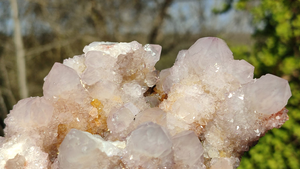 Natural Spirit Amethyst / Ametrine Quartz Clusters x 2 From Boekenhouthoek, South Africa - Toprock Gemstones and Minerals 