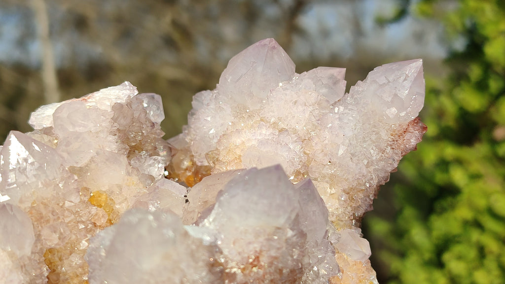 Natural Spirit Amethyst / Ametrine Quartz Clusters x 2 From Boekenhouthoek, South Africa - Toprock Gemstones and Minerals 
