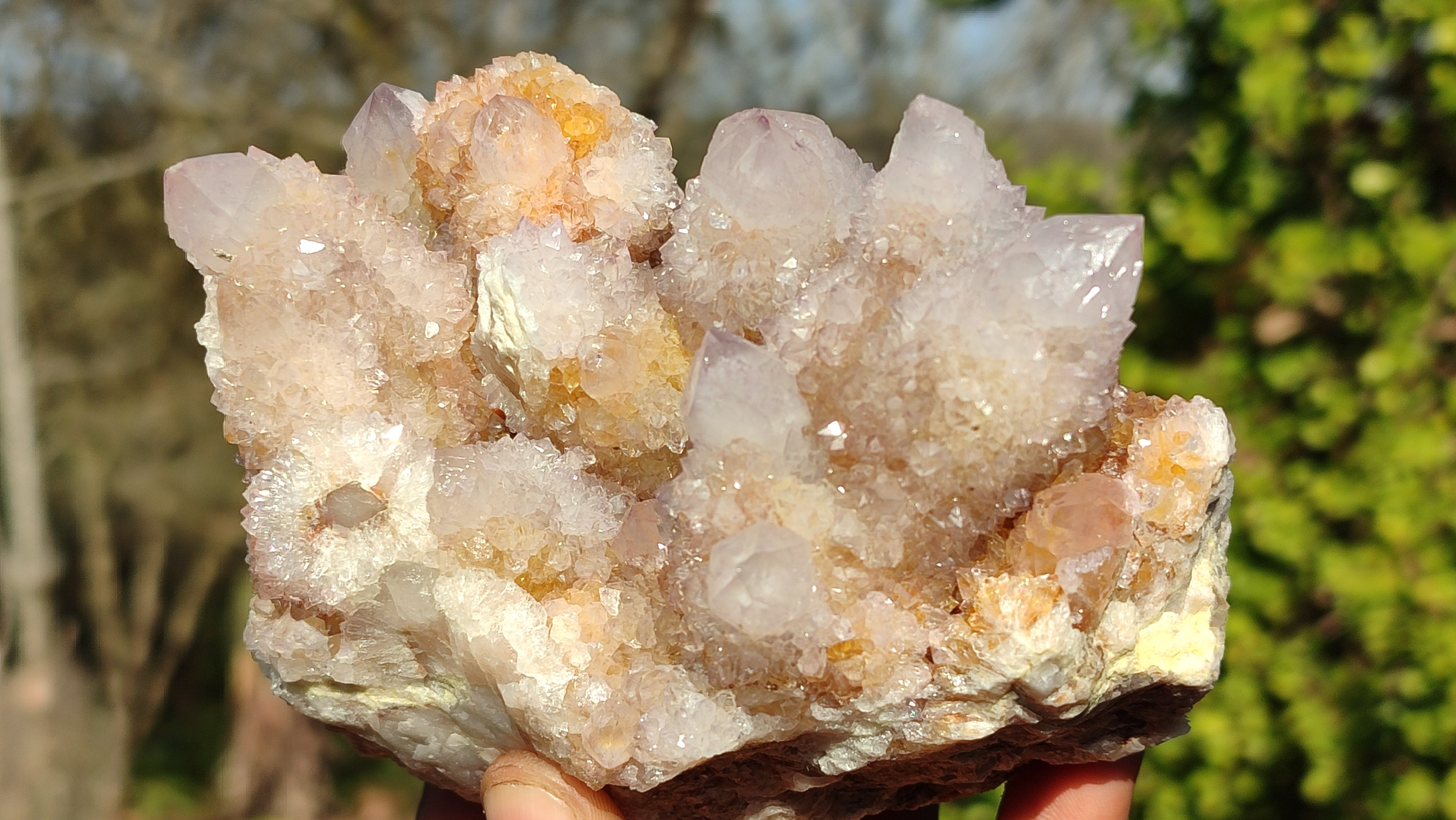 Natural Spirit Amethyst / Ametrine Quartz Clusters x 2 From Boekenhouthoek, South Africa - Toprock Gemstones and Minerals 