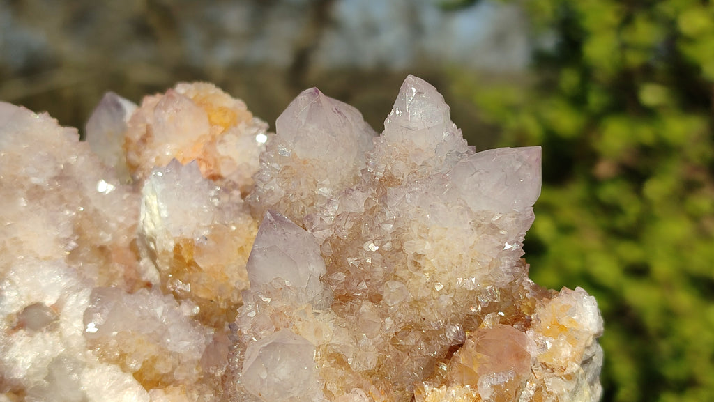 Natural Spirit Amethyst / Ametrine Quartz Clusters x 2 From Boekenhouthoek, South Africa - Toprock Gemstones and Minerals 
