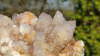 Natural Spirit Amethyst / Ametrine Quartz Clusters x 2 From Boekenhouthoek, South Africa - Toprock Gemstones and Minerals 
