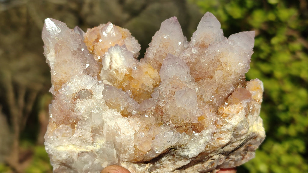 Natural Spirit Amethyst / Ametrine Quartz Clusters x 2 From Boekenhouthoek, South Africa - Toprock Gemstones and Minerals 