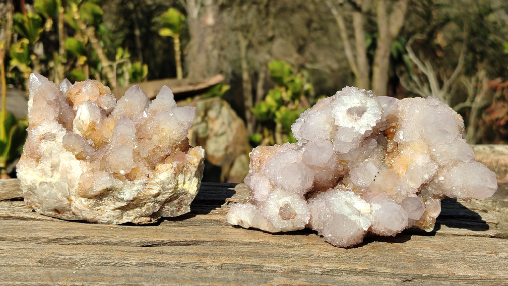 Natural Spirit Amethyst / Ametrine Quartz Clusters x 2 From Boekenhouthoek, South Africa - Toprock Gemstones and Minerals 