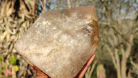 Polished Large Smokey Quartz Point x 1 From Angola - Toprock Gemstones and Minerals 