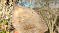 Polished Large Smokey Quartz Point x 1 From Angola - Toprock Gemstones and Minerals 
