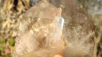 Polished Large Smokey Quartz Point x 1 From Angola - Toprock Gemstones and Minerals 