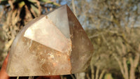 Polished Large Smokey Quartz Point x 1 From Angola - Toprock Gemstones and Minerals 