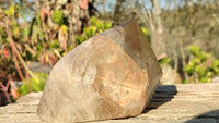 Polished Large Smokey Quartz Point x 1 From Angola - Toprock Gemstones and Minerals 