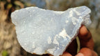 Natural Etched Blue Chalcedony Specimens  x 35 From Nsanje, Malawi - Toprock Gemstones and Minerals 