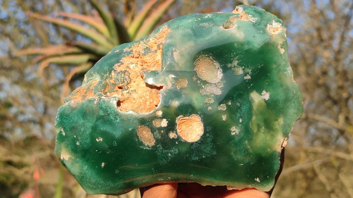 Polished On One Side Emerald Mtorolite Plates x 2 From Mutorashanga, Zimbabwe - Toprock Gemstones and Minerals 