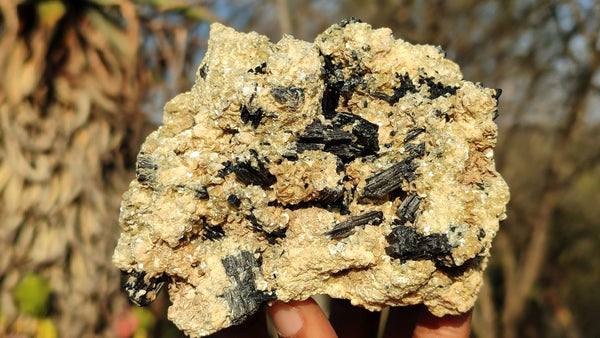 Natural Schorl Black Tourmaline Specimens x 4 From Erongo, Namibia