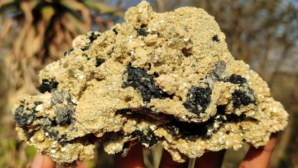 Natural Schorl Black Tourmaline Specimens x 4 From Erongo, Namibia - Toprock Gemstones and Minerals 