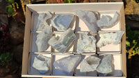 Natural Etched Blue Chalcedony Specimens  x 12 From Nsanje, Malawi - Toprock Gemstones and Minerals 