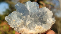 Natural Blue Celestite Crystal Specimens  x 6 From Sakoany, Madagascar - Toprock Gemstones and Minerals 