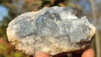 Natural Blue Celestite Crystal Specimens  x 6 From Sakoany, Madagascar - Toprock Gemstones and Minerals 