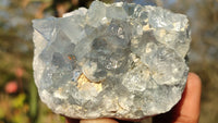Natural Blue Celestite Crystal Specimens  x 6 From Sakoany, Madagascar - Toprock Gemstones and Minerals 