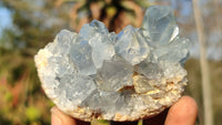 Natural Blue Celestite Crystal Specimens  x 6 From Sakoany, Madagascar - Toprock Gemstones and Minerals 