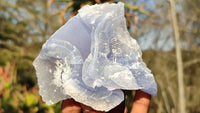 Natural Etched Blue Chalcedony Specimens  x 6 From Nsanje, Malawi - Toprock Gemstones and Minerals 