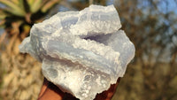 Natural Etched Blue Chalcedony Specimens  x 6 From Nsanje, Malawi - Toprock Gemstones and Minerals 