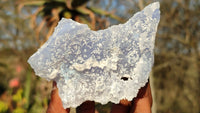 Natural Etched Blue Chalcedony Specimens  x 6 From Nsanje, Malawi - Toprock Gemstones and Minerals 