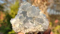 Natural Blue Celestite Crystal Specimens  x 6 From Sakoany, Madagascar - Toprock Gemstones and Minerals 