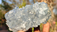 Natural Blue Celestite Crystal Specimens  x 6 From Sakoany, Madagascar - Toprock Gemstones and Minerals 