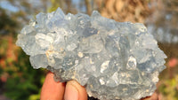 Natural Blue Celestite Crystal Specimens  x 6 From Sakoany, Madagascar - Toprock Gemstones and Minerals 