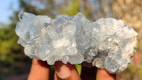 Natural Blue Celestite Crystal Specimens  x 6 From Sakoany, Madagascar - Toprock Gemstones and Minerals 
